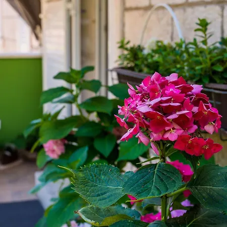 Apartman And Frane - Double Dubrovnik