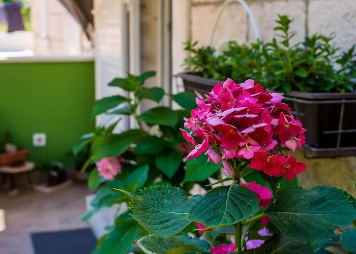 Apartman And Frane - Double Dubrovnik